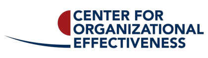 The Center for Organizational Effectiveness
